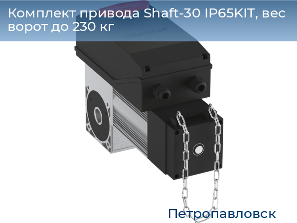 Комплект привода Shaft-30 IP65KIT, вес ворот до 230 кг, petropavlovsk.doorhan.ru