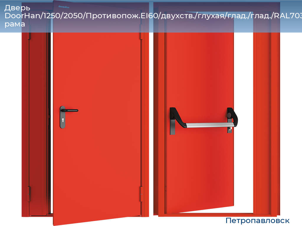 Дверь DoorHan/1250/2050/Противопож.EI60/двухств./глухая/глад./глад./RAL7035/лев./угл. рама, petropavlovsk.doorhan.ru