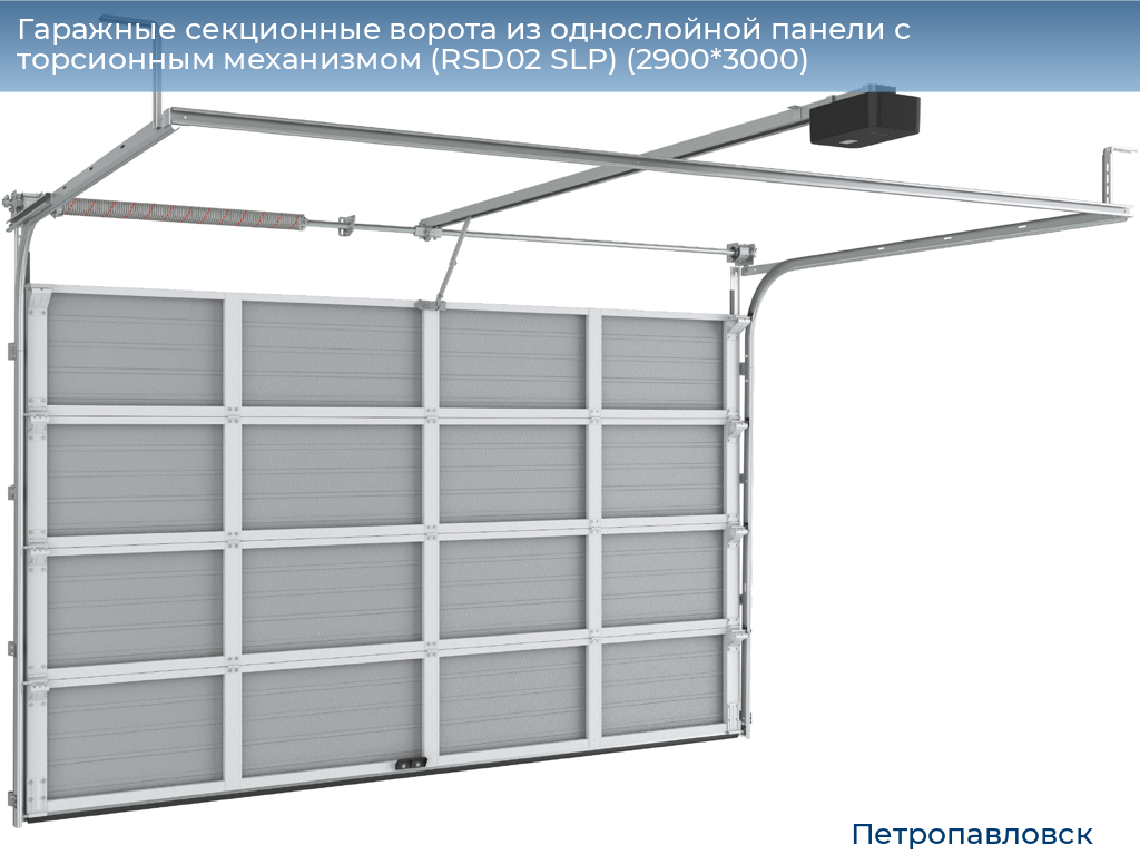Гаражные секционные ворота из однослойной панели с торсионным механизмом (RSD02 SLP) (2900*3000), petropavlovsk.doorhan.ru