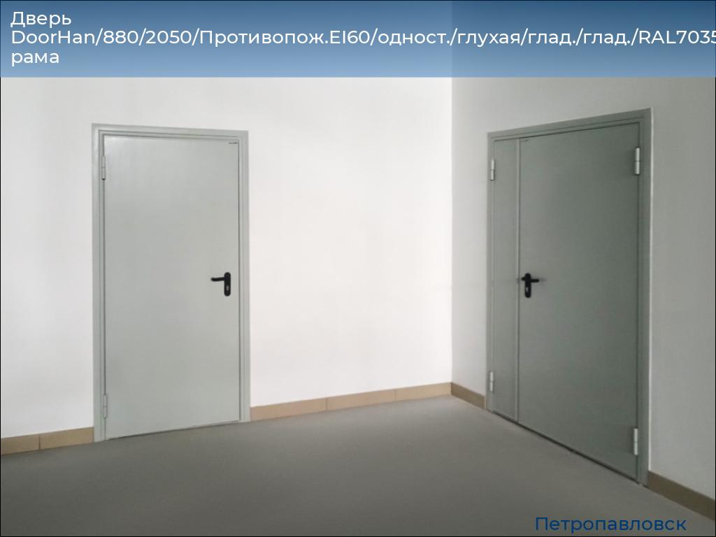 Дверь DoorHan/880/2050/Противопож.EI60/одност./глухая/глад./глад./RAL7035/лев./угл. рама, petropavlovsk.doorhan.ru