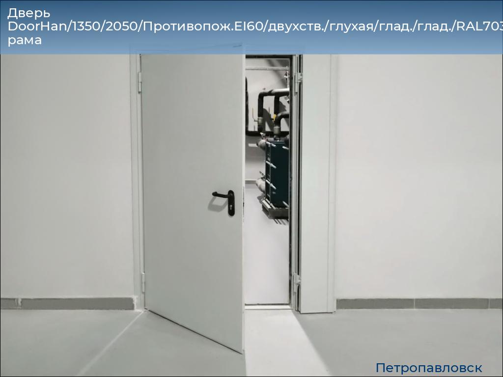 Дверь DoorHan/1350/2050/Противопож.EI60/двухств./глухая/глад./глад./RAL7035/прав./угл. рама, petropavlovsk.doorhan.ru