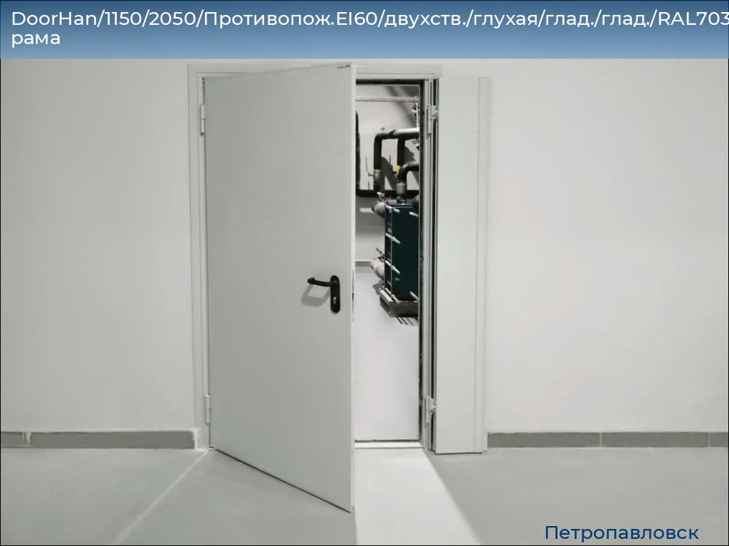 DoorHan/1150/2050/Противопож.EI60/двухств./глухая/глад./глад./RAL7035/лев./угл. рама, petropavlovsk.doorhan.ru