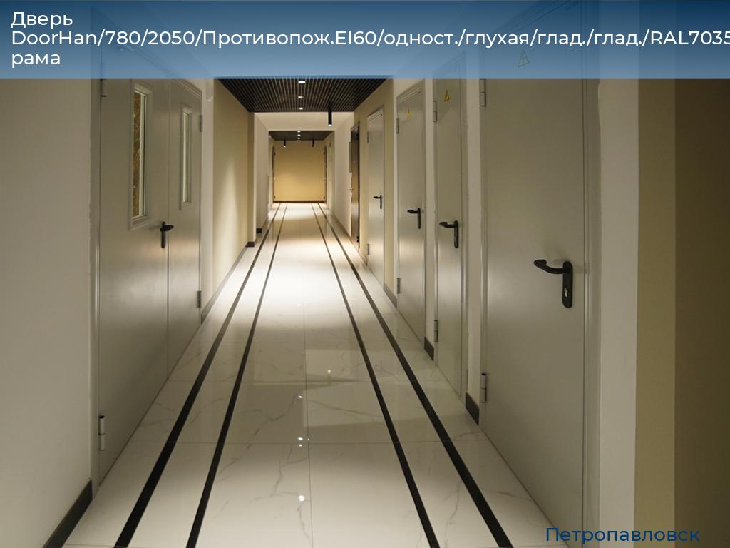 Дверь DoorHan/780/2050/Противопож.EI60/одност./глухая/глад./глад./RAL7035/лев./угл. рама, petropavlovsk.doorhan.ru