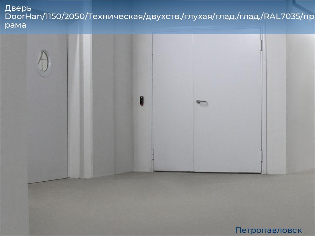 Дверь DoorHan/1150/2050/Техническая/двухств./глухая/глад./глад./RAL7035/прав./угл. рама, petropavlovsk.doorhan.ru