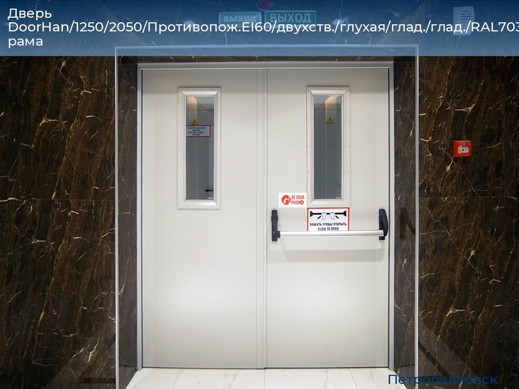 Дверь DoorHan/1250/2050/Противопож.EI60/двухств./глухая/глад./глад./RAL7035/лев./угл. рама, petropavlovsk.doorhan.ru
