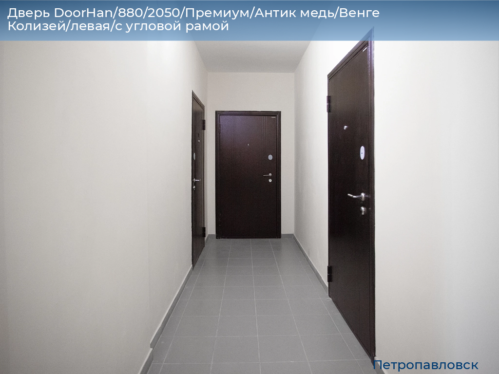 Дверь DoorHan/880/2050/Премиум/Антик медь/Венге Колизей/левая/с угловой рамой, petropavlovsk.doorhan.ru